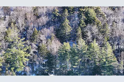 610 Railroad Bed Road, Lake View Plantation, ME 04463 - Photo 18