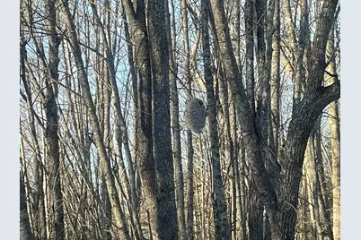 38 Jasmine Lane, Union, ME 04862 - Photo 148