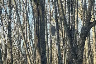 38 Jasmine Ln, Union, ME 04862 - Photo 148