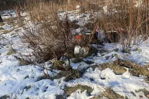 38 Jasmine Ln, Union, ME 04862 - Photo 170