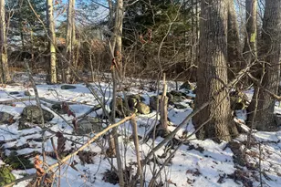 38 Jasmine Ln, Union, ME 04862 - Photo 90