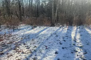 38 Jasmine Ln, Union, ME 04862 - Photo 110