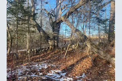 38 Jasmine Lane, Union, ME 04862 - Photo 116