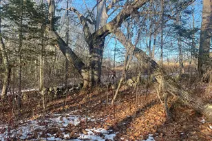 38 Jasmine Ln, Union, ME 04862 - Photo 116