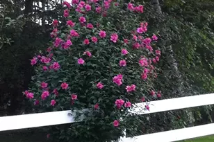 693 Goding Rd, Acton, ME 04001 - Photo 42