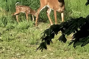 693 Goding Rd, Acton, ME 04001 - Photo 38