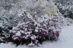 693 Goding Rd, Acton, ME 04001 - Photo 34