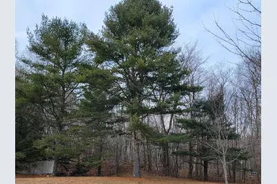 1244 Gary Moore Road, Otis, ME 04605 - Photo 4