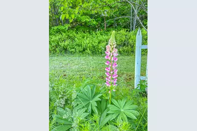 1568 Essex Street, Bangor, ME 04401 - Photo 46