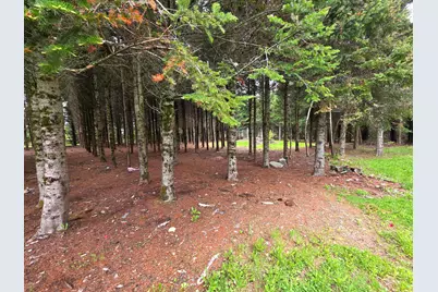 929 Access Highway, Limestone, ME 04750 - Photo 8
