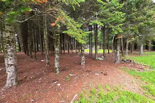 929 Access Hwy, Limestone, ME 04750 - Photo 8