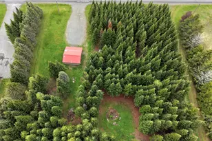 929 Access Hwy, Limestone, ME 04750 - Photo 6