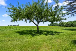 356 Range Rd, Atkinson, ME 04426 - Photo 52