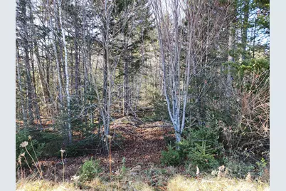 41 Sandy Ridge Lane, Searsport, ME 04974 - Photo 4