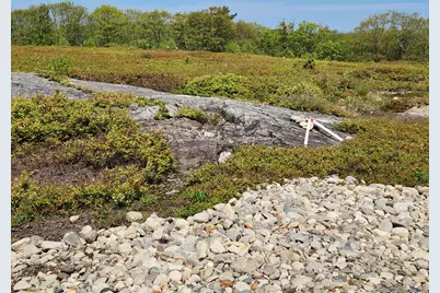 2 Whispering Berries Hill, Liberty, ME 04949 - Photo 2