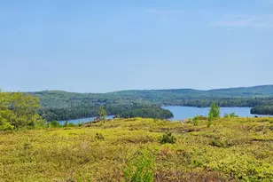 2 Whispering Berries Hill, Liberty, ME 04949 - Photo 1