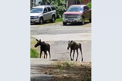 38 Kuvaja Road, Greenwood, ME 04255 - Photo 50