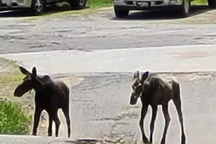 38 Kuvaja Rd, Greenwood, ME 04255 - Photo 50