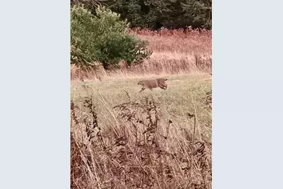 38 Kuvaja Road, Greenwood, ME 04255 - Photo 56