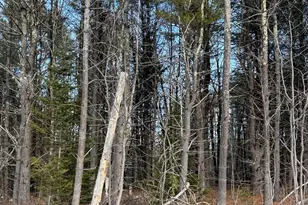 224-3-1 Maine 109 Rte, Acton, ME 04001 - Photo 32