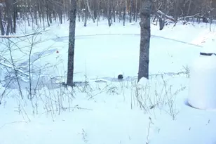 810 Rockland St, Rockport, ME 04856 - Photo 32