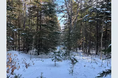 M11L17C Rogers Point Road, Steuben, ME 04680 - Photo 4
