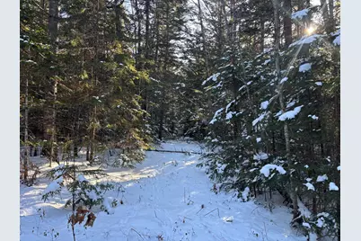 M11L17C Rogers Point Road, Steuben, ME 04680 - Photo 2