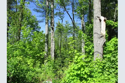 1641 Washington Road, Waldoboro, ME 04572 - Photo 4