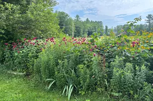 465 Carthage Rd, Carthage, ME 04224 - Photo 50