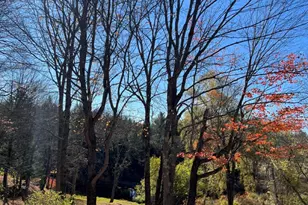 465 Carthage Rd, Carthage, ME 04224 - Photo 42