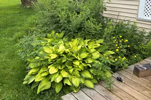 465 Carthage Rd, Carthage, ME 04224 - Photo 48