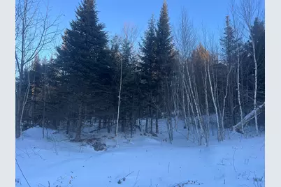 Lot 5 Gentle Ben Road, Bethel, ME 04217 - Photo 4