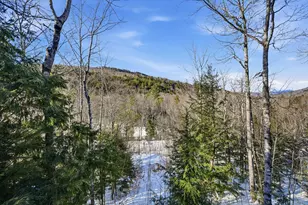 65 Claybrook Rd, Springfield, ME 04947 - Photo 38