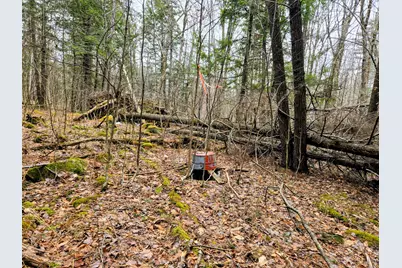 Lot 35 Moose Hill Road, Livermore Falls, ME 04228 - Photo 42