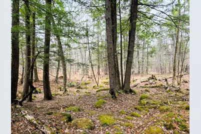 Lot 35 Moose Hill Road, Livermore Falls, ME 04228 - Photo 22