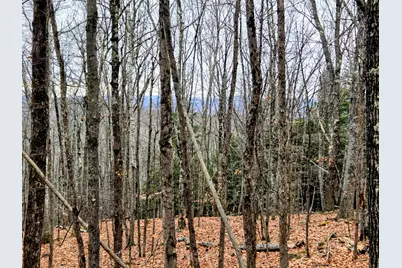 Lot 35 Moose Hill Road, Livermore Falls, ME 04228 - Photo 28