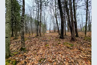 Lot 35 Moose Hill Road, Livermore Falls, ME 04228 - Photo 14