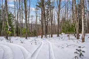 128 Tripptown Rd, Hiram, ME 04041 - Photo 34