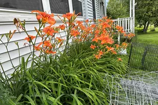 4269 Aroostook Rd, Winterville Plantation, ME 04739 - Photo 20