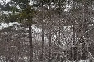 4269 Aroostook Rd, Winterville Plantation, ME 04739 - Photo 130