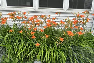 4269 Aroostook Rd, Winterville Plantation, ME 04739 - Photo 18