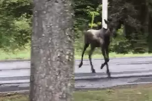 4269 Aroostook Rd, Winterville Plantation, ME 04739 - Photo 6