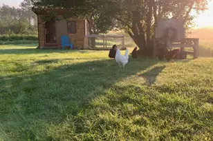 506 Baring St, Calais, ME 04619 - Photo 54