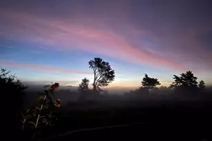 506 Baring St, Calais, ME 04619 - Photo 58