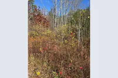 Tbd Log Cabin Road, Kennebunkport, ME 04046 - Photo 4