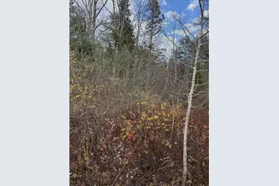 Tbd Log Cabin Road, Kennebunkport, ME 04046 - Photo 8