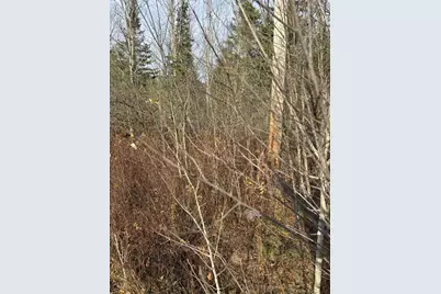 Tbd Log Cabin Road, Kennebunkport, ME 04046 - Photo 10