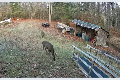 1188 Me-193, Deblois, ME 04622 - Photo 48