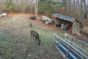 1188 ME-193, Deblois, ME 04622 - Photo 48