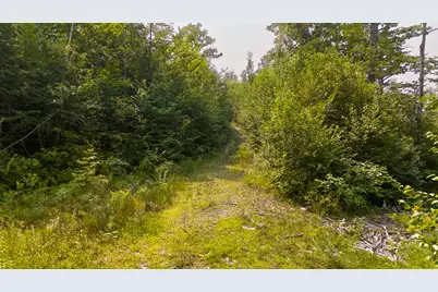 Lot9 Bear Brook Subdivision, Sebec, ME 04481 - Photo 12